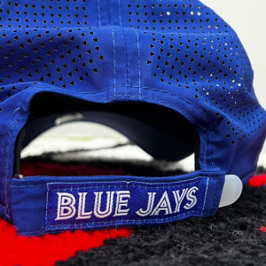 Toronto Blue Jans
